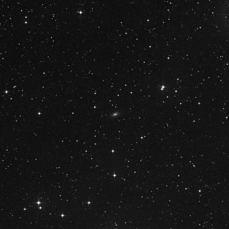Image of NGC 3369 - Elliptical/Spiral Galaxy in Hydra star