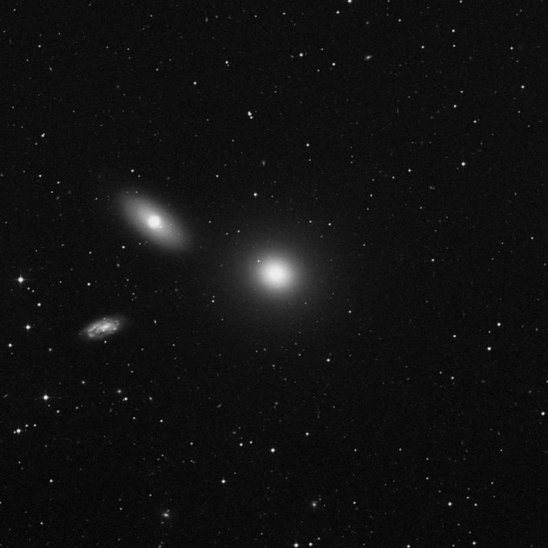 Image of Messier 105 - Elliptical Galaxy in Leo star