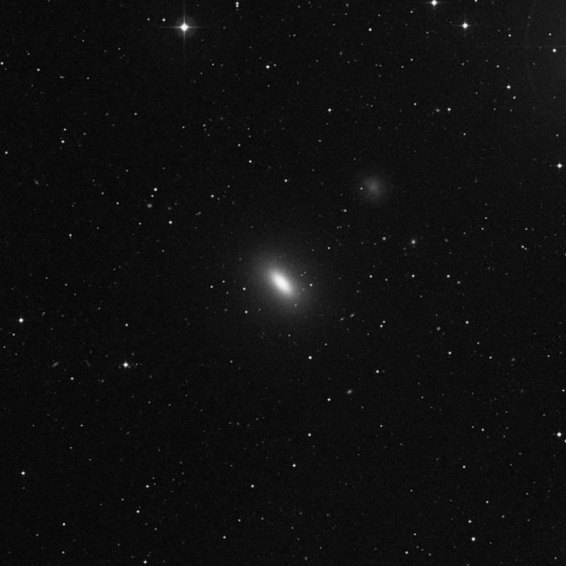 Image of NGC 3377 - Elliptical Galaxy in Leo star