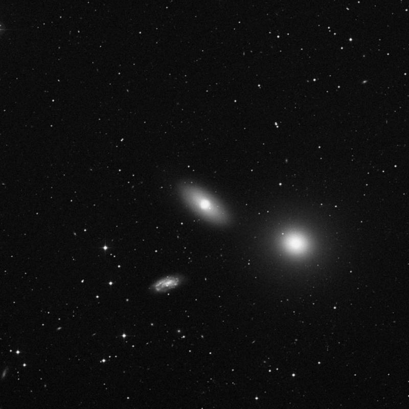 Image of NGC 3384 - Elliptical/Spiral Galaxy in Leo star