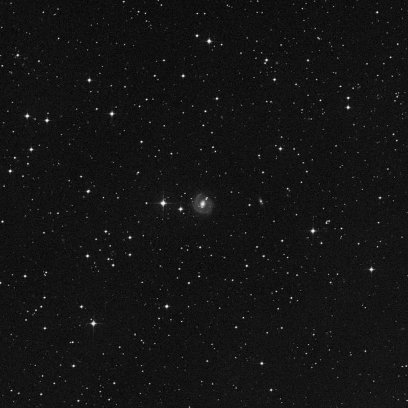 Image of NGC 3393 - Barred Spiral Galaxy in Hydra star