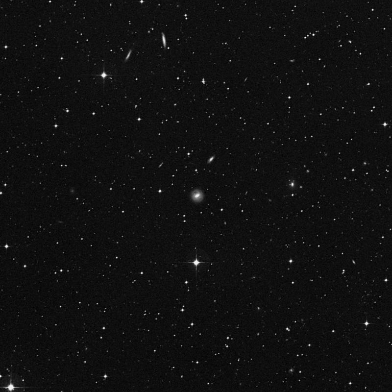 Image of NGC 3420 - Barred Spiral Galaxy in Hydra star