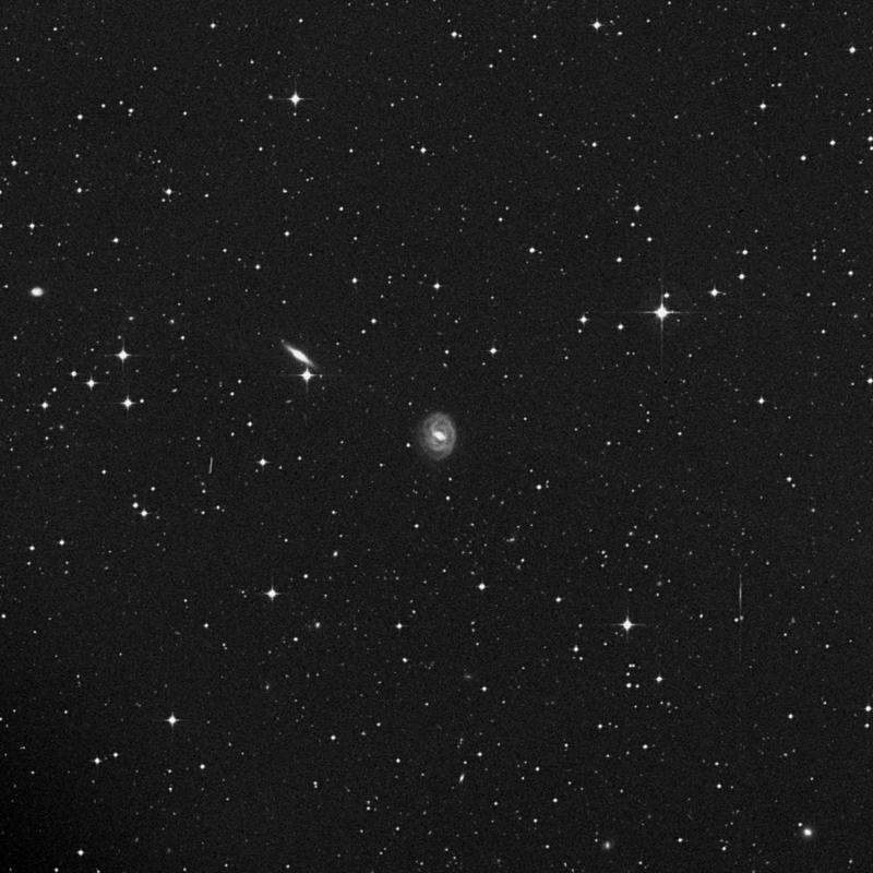 Image of NGC 3421 - Barred Spiral Galaxy in Crater star