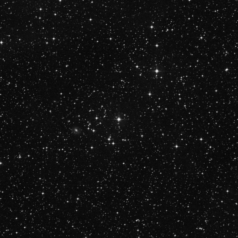 Image of NGC 3446 - Open Cluster in Vela star