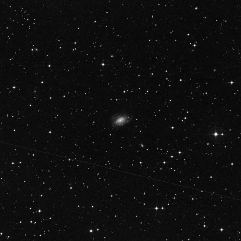 Image of NGC 3464 - Spiral Galaxy in Hydra star