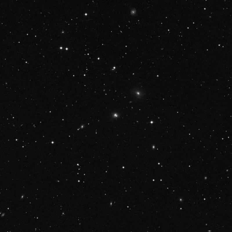 Image of NGC 3492 NED01 - Elliptical Galaxy in Leo star