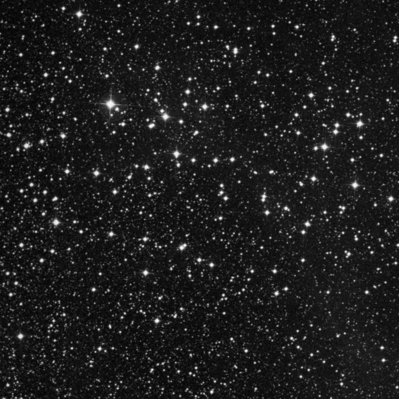 Image of NGC 3532 (Wishing Well Cluster) - Open Cluster in Carina star