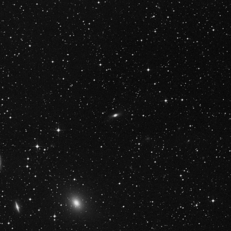 Image of NGC 3557B - Elliptical Galaxy in Centaurus star