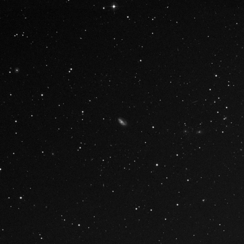 Image of NGC 3559 - Galaxy in Leo star