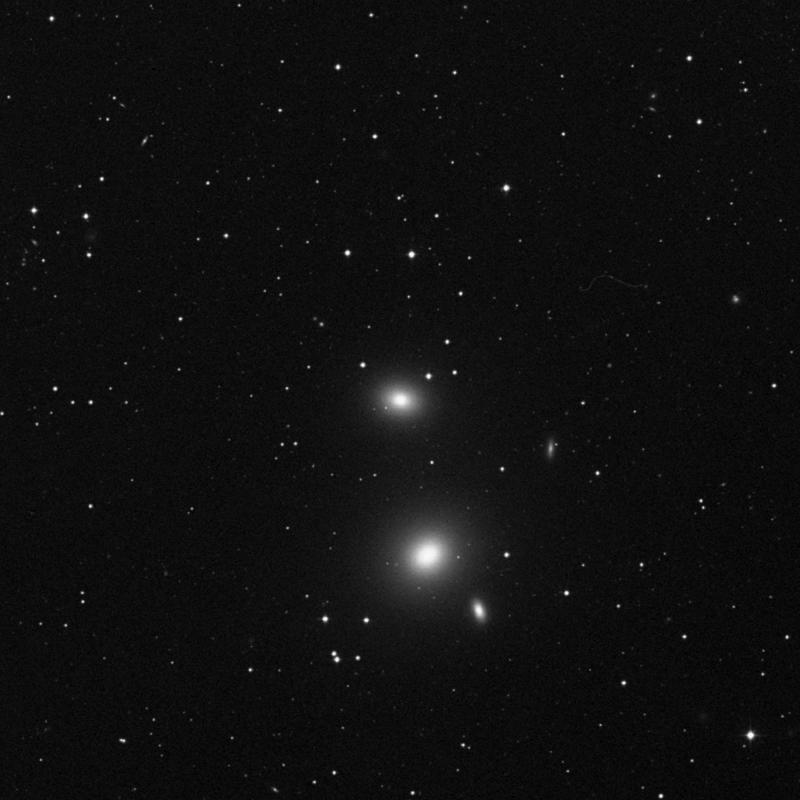 Image of NGC 3608 - Elliptical Galaxy in Leo star