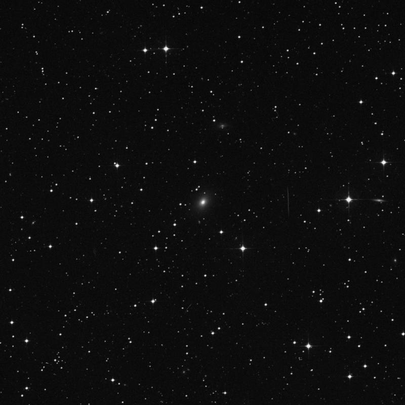 Image of NGC 3617 - Elliptical Galaxy in Hydra star