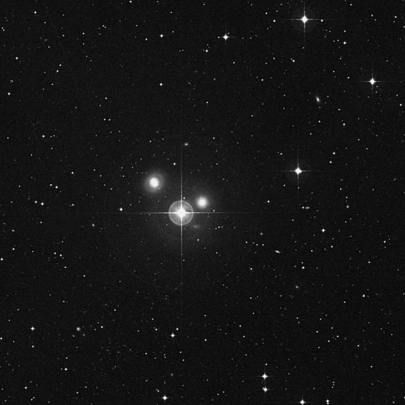 Image of NGC 3636 - Elliptical Galaxy in Crater star