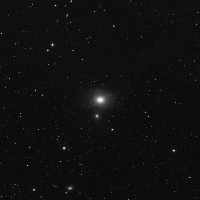 Image of NGC 3640 - Elliptical Galaxy in Leo star