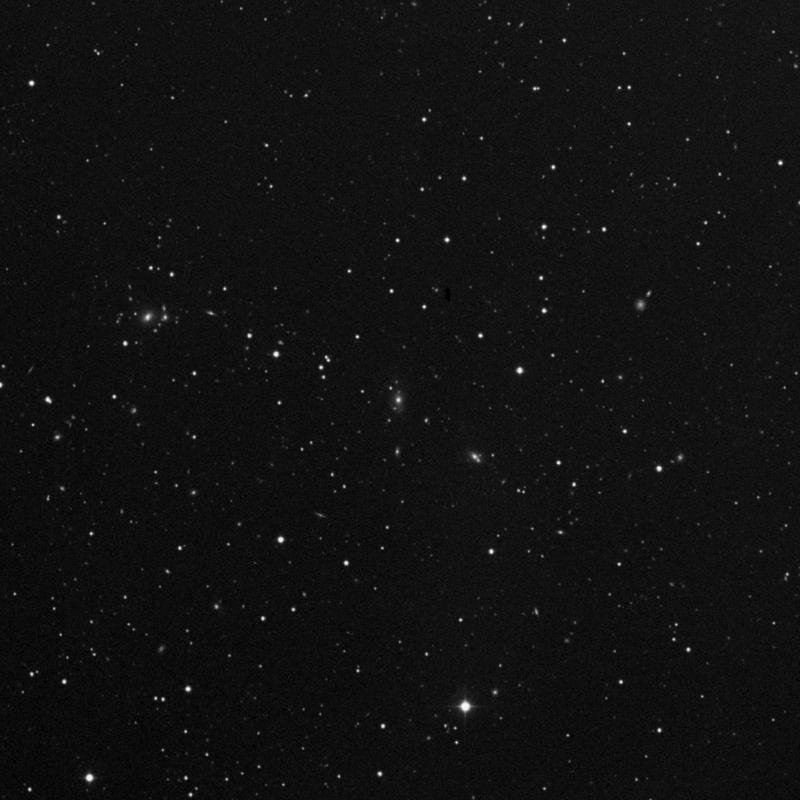 Image of IC 1004 - Elliptical Galaxy in Boötes star