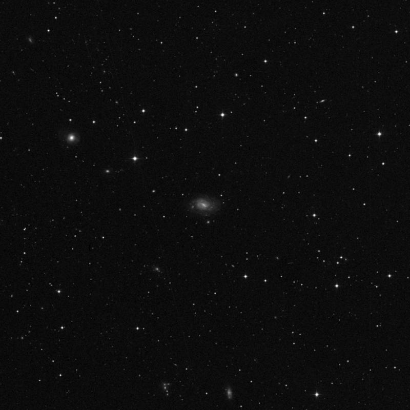 Image of IC 1014 - Spiral Galaxy in Boötes star
