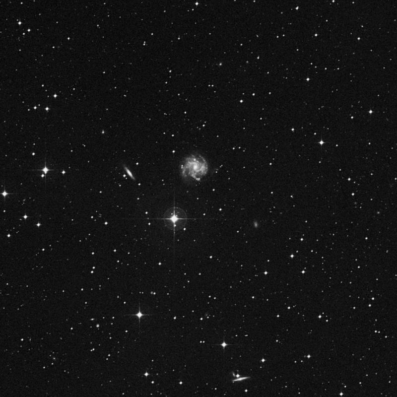 Image of IC 974 - Star in Virgo star