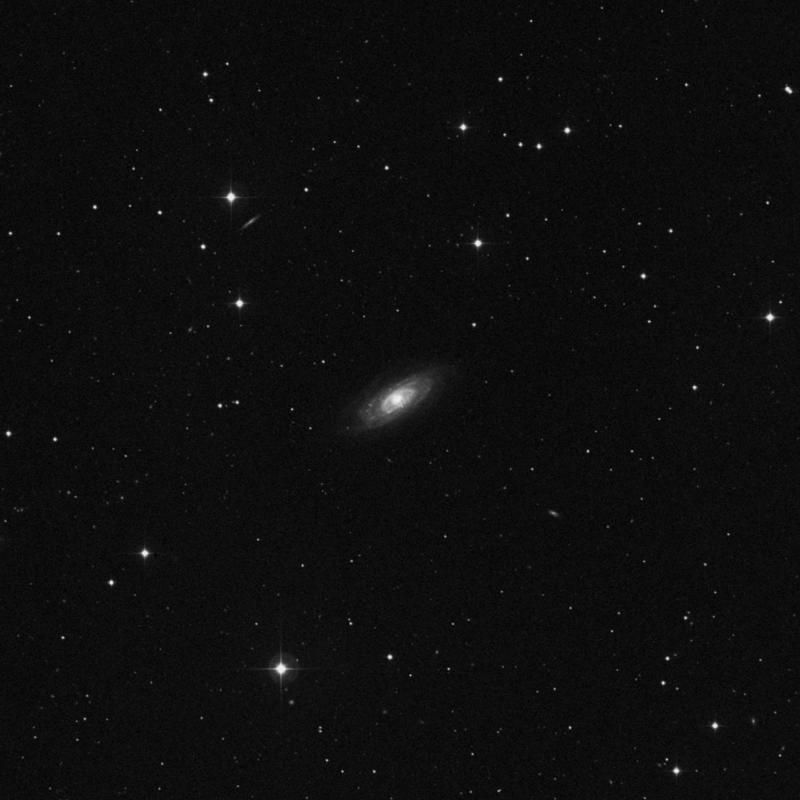 Image of NGC 3705 - Intermediate Spiral Galaxy in Leo star