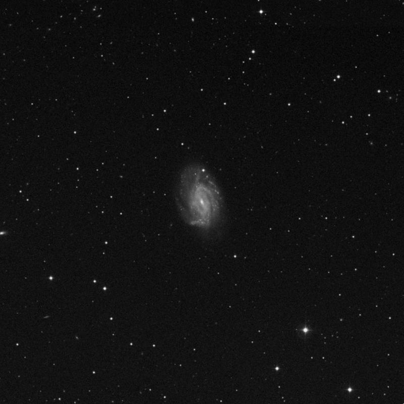 Image of NGC 3726 - Spiral Galaxy in Ursa Major star