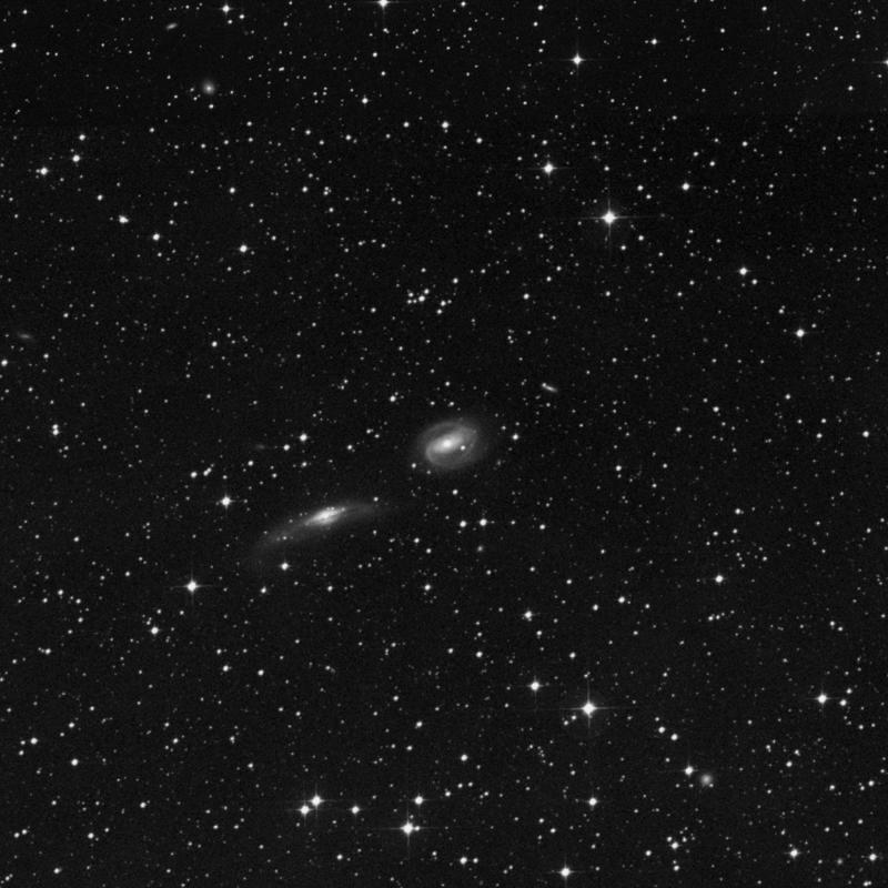 Image of NGC 3742 - Spiral Galaxy in Centaurus star