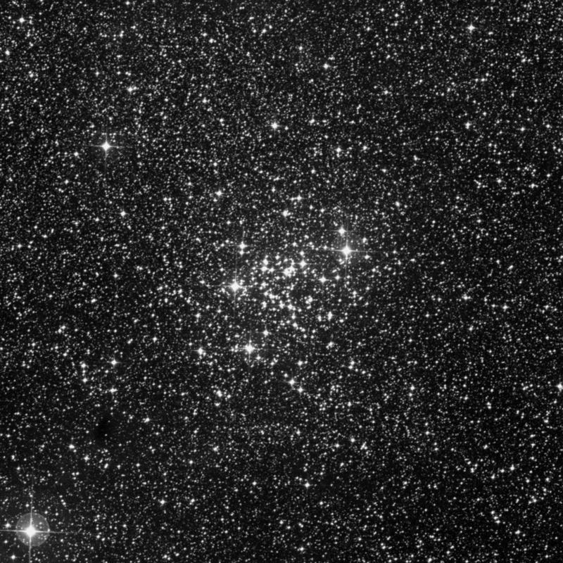 Image of NGC 3766 (Pearl Cluster) - Open Cluster in Centaurus star