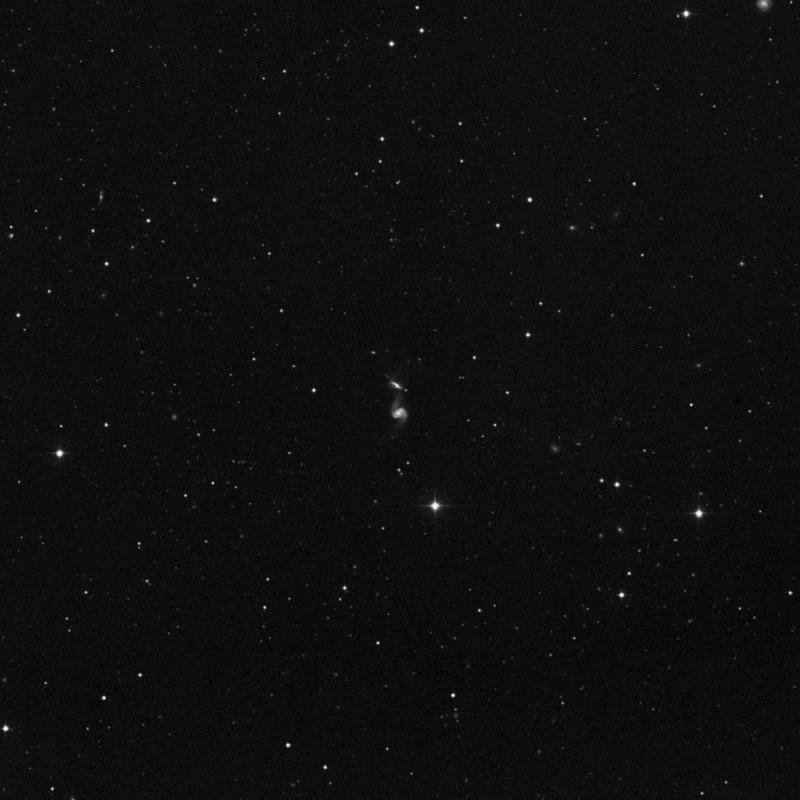 Image of NGC 3808 - Galaxy Pair in Leo star