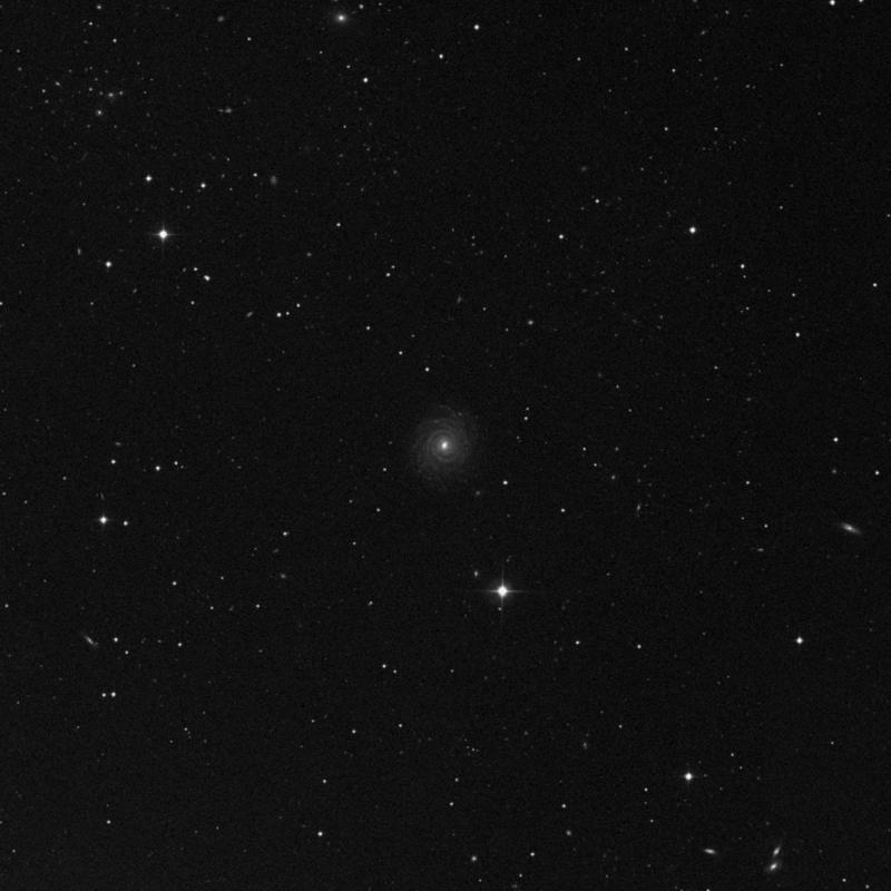 Image of NGC 3883 - Spiral Galaxy in Leo star
