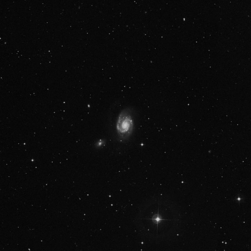 Image of NGC 3893 - Intermediate Spiral Galaxy in Ursa Major star