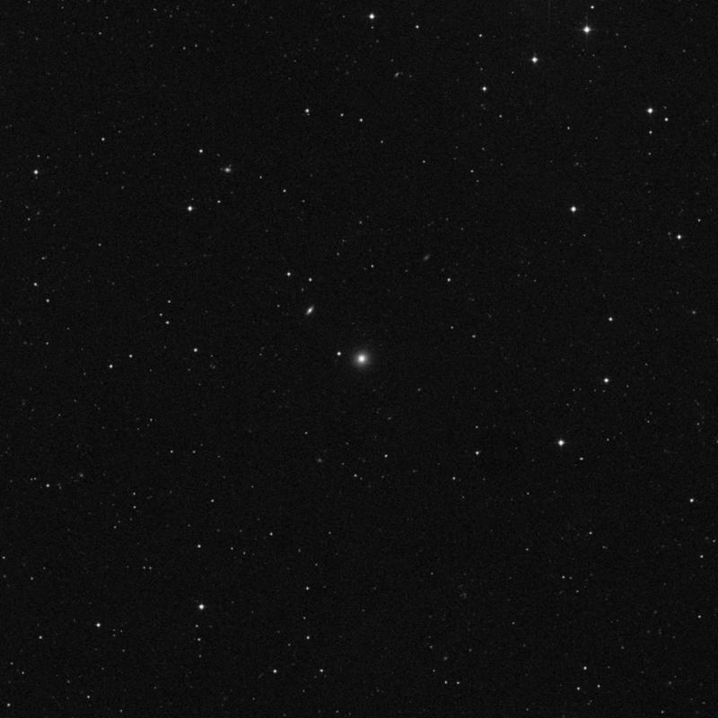 Image of NGC 3919 - Elliptical Galaxy in Leo star