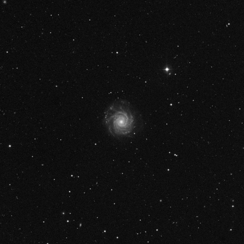 Image of NGC 3938 - Spiral Galaxy in Ursa Major star