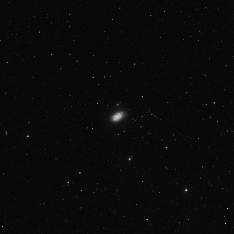 Image of NGC 3949 - Spiral Galaxy in Ursa Major star