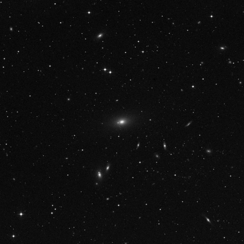 Image of NGC 4073 - Elliptical Galaxy in Virgo star