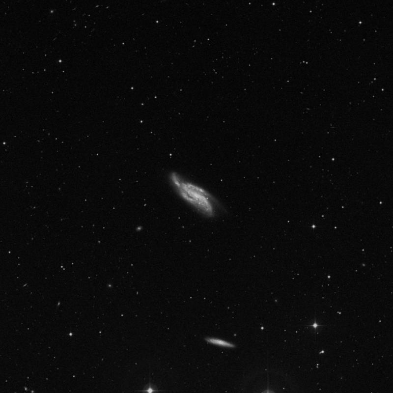 Image of NGC 4088 - Intermediate Spiral Galaxy in Ursa Major star