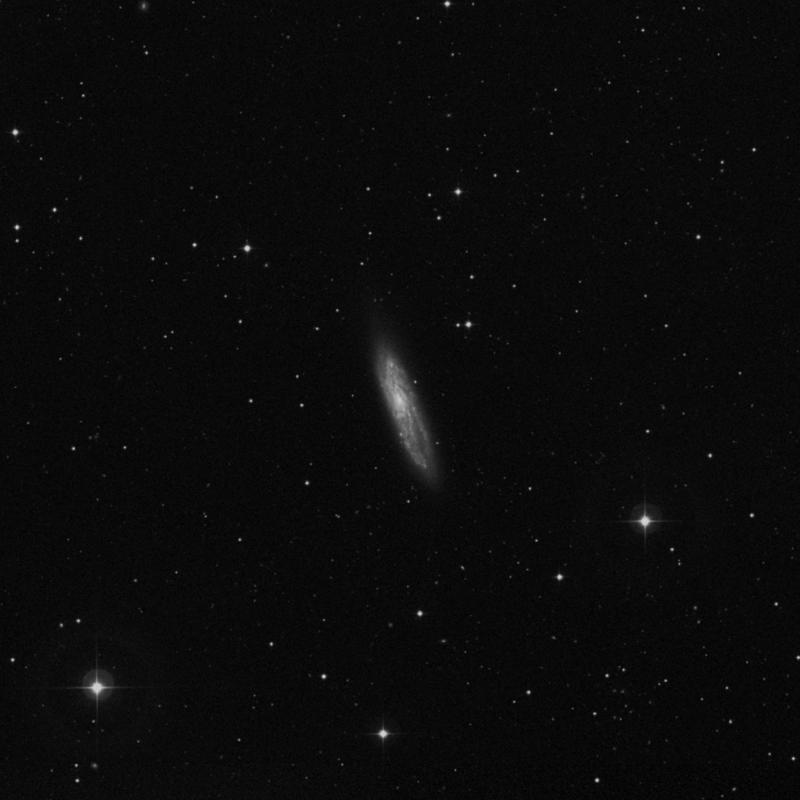 Image of NGC 4096 - Intermediate Spiral Galaxy in Ursa Major star