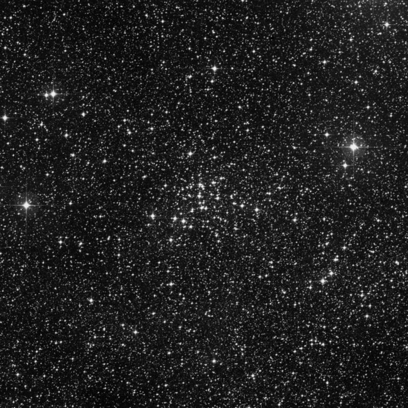 Image of NGC 4103 - Open Cluster in Crux star