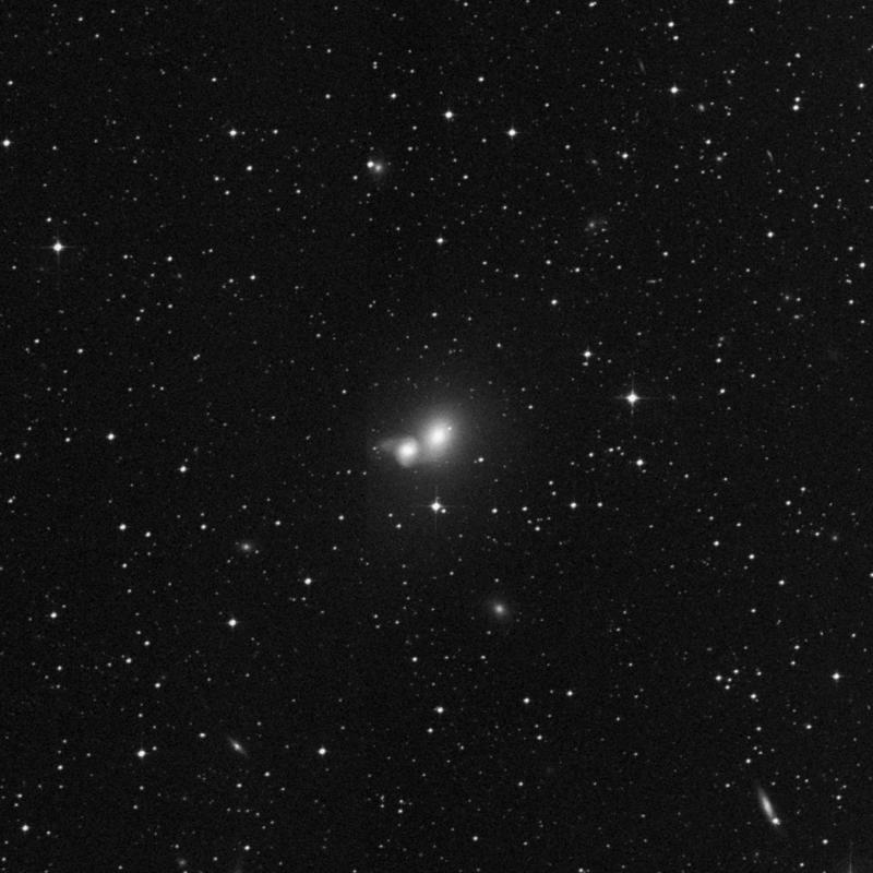 Image of NGC 4105 - Elliptical Galaxy in Hydra star