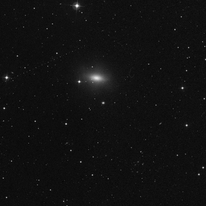 Image of NGC 4121 - Elliptical Galaxy in Draco star