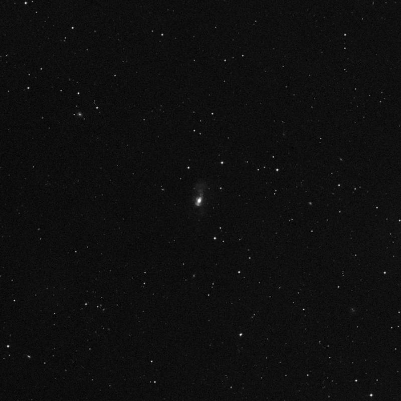 Image of NGC 4194 (Medusa Galaxy Merger) - Barred Spiral Galaxy in Ursa Major star