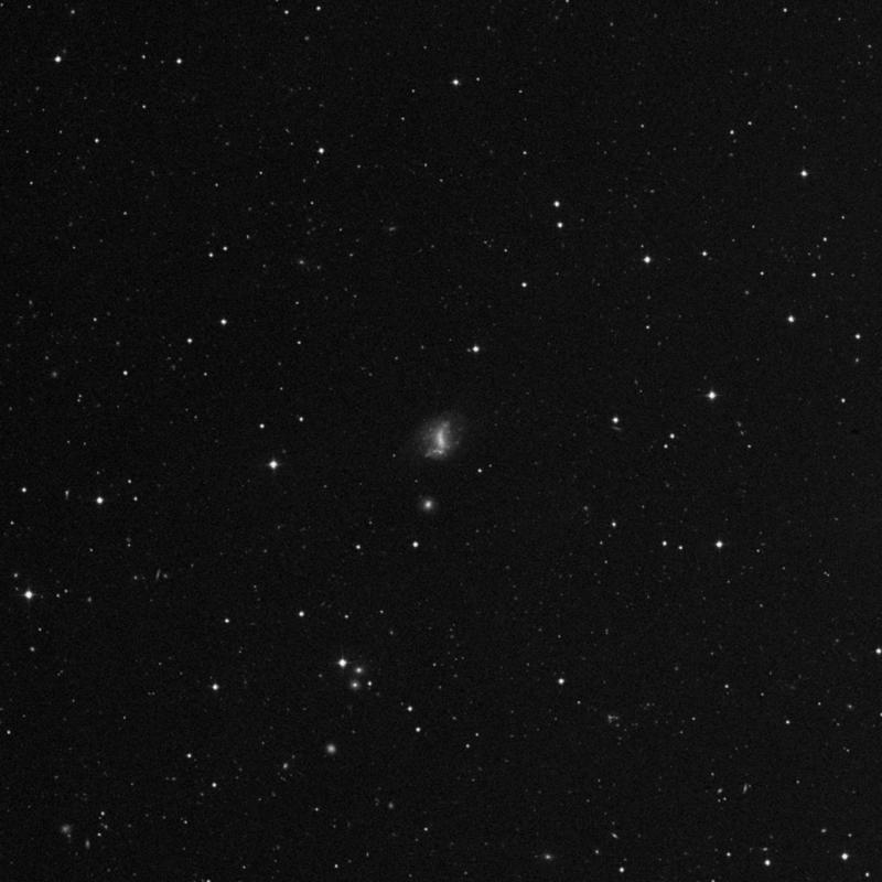 Image of NGC 4288 - Barred Spiral Galaxy in Canes Venatici star