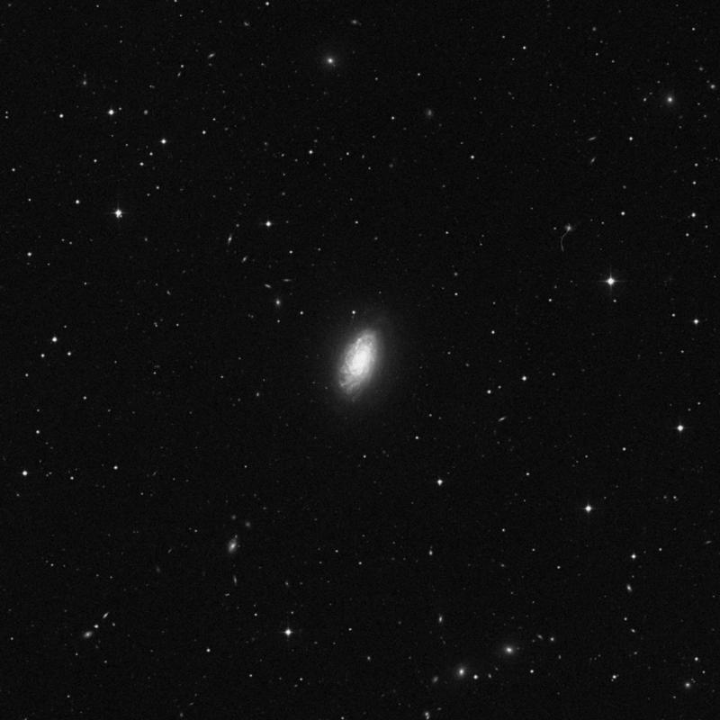 Image of NGC 4414 - Spiral Galaxy in Coma Berenices star