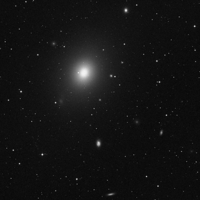 Image of NGC 4471 - Elliptical Galaxy in Virgo star