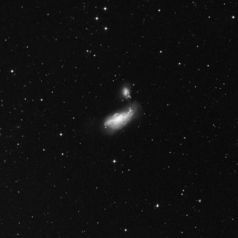 Image of NGC 4490 - Barred Spiral Galaxy in Canes Venatici star