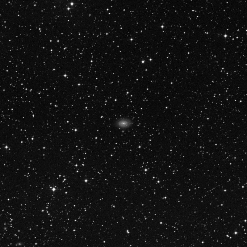 Image of NGC 4499 - Barred Spiral Galaxy in Centaurus star