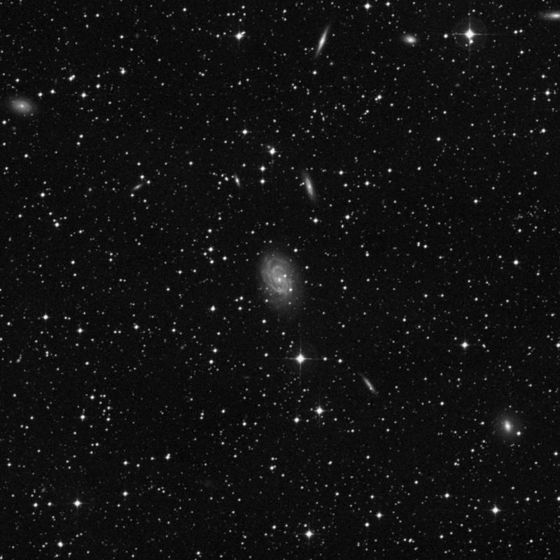 Image of NGC 4603 - Intermediate Spiral Galaxy in Centaurus star