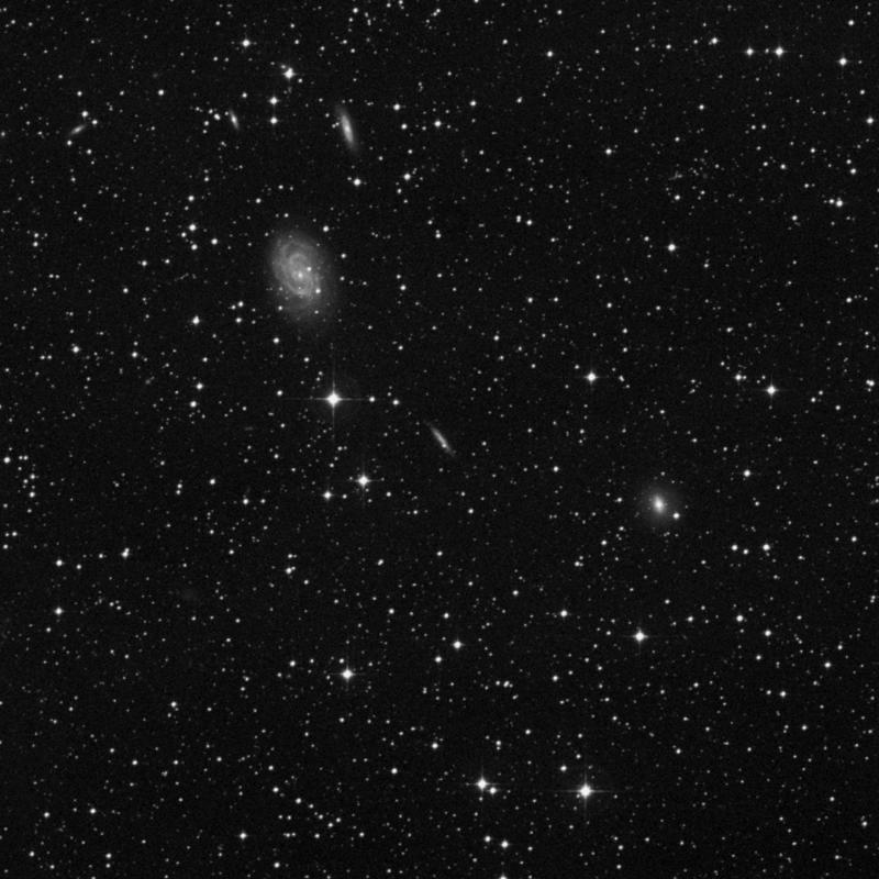 Image of NGC 4603B - Barred Spiral Galaxy in Centaurus star