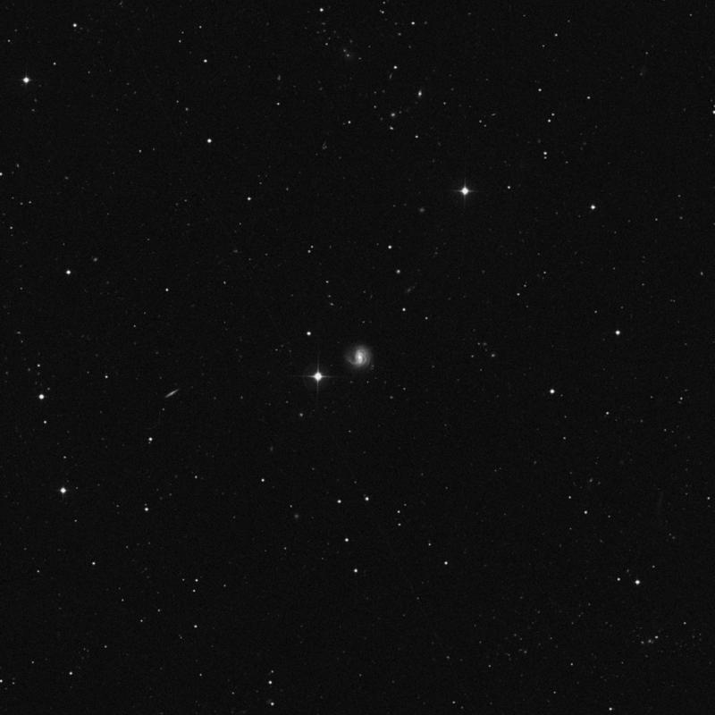 Image of NGC 4619 - Spiral Galaxy in Canes Venatici star