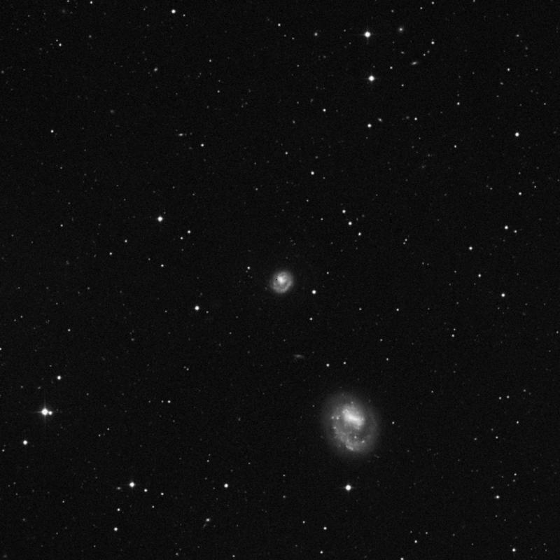 Image of NGC 4625 - Intermediate Spiral(SABm) Galaxy in Canes Venatici star