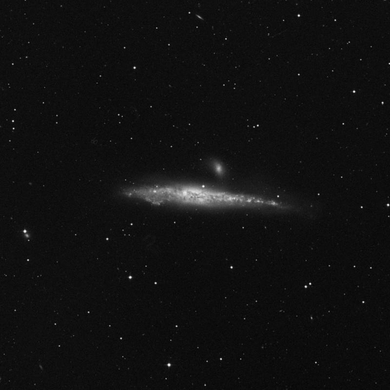 Image of NGC 4631 (Whale Galaxy) - Barred Spiral Galaxy in Canes Venatici star