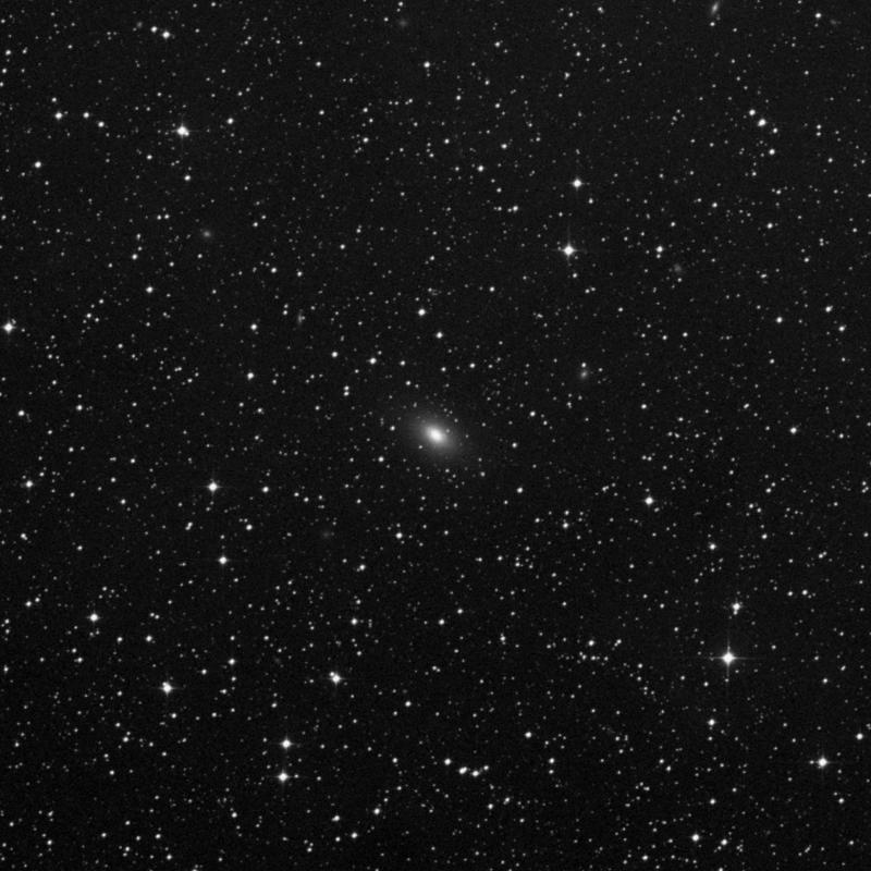 Image of NGC 4645 - Elliptical Galaxy in Centaurus star