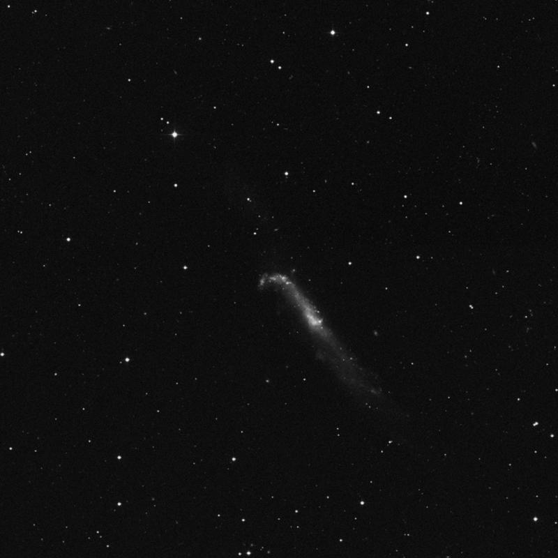 Image of NGC 4657 - Spiral Galaxy in Canes Venatici star