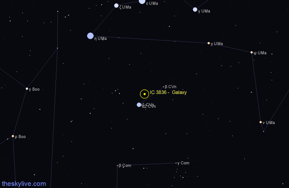 Finder chart IC 3836 -  Galaxy in Canes Venatici star